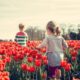 Spring Activities to Consider in Henderson, Nevada